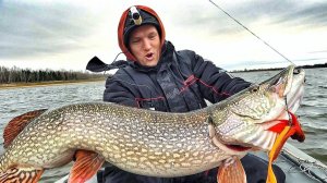 ЩУКИ-КРОКОДИЛЫ, ТОННЫ ЛЕЩА и 200кг ПРИКОРМКИ! ЯМА ПОЛНА РЫБЫ! Siberian fishing