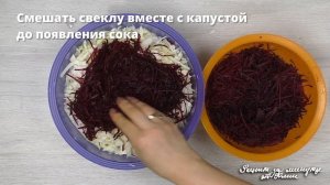 Капуста квашеная рецепт со свеклой. Рецепт за 1 минуту.