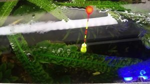 Поплавок с скользящим шариком на антенне с АлиЭкспресс