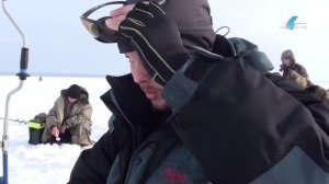 Ловля плотвы и окуня в феврале.