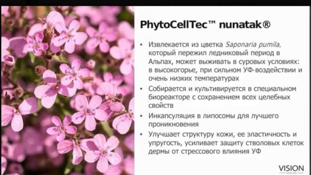 VISION SKINCARE смотреть онлайн