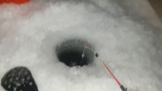 Вес налима с прошлой рыбалки? смотреть онлайн