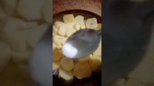 Диетическая скумбрия на пару.