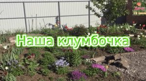 Наша клумбочка