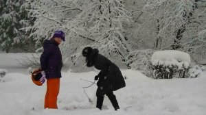 Отдых в зимнем парке Кусково 2019