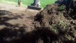 мотоблок бульдозер.