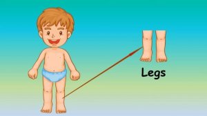 Learn Body parts, Body Parts, Body Parts For Kids, Parts of body with Spellings, Body Parts Name.