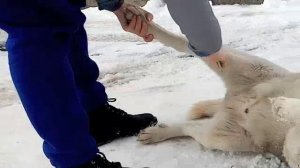 счастье - это...