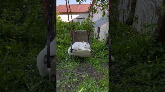 А я кайфую 🥰