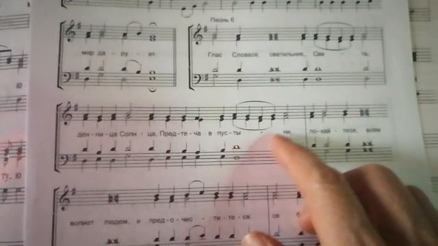 БОГОЯВЛЕНИЕ!!!! ИРМОСЫ. АЛЬТ.Первый Канон. глас 2(Сокращ. знаменный роспев)