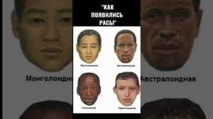 Как зародились расы на земле
