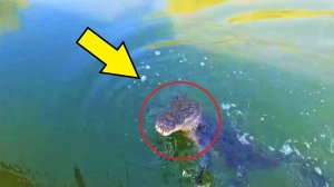 РЫБАКИ чуть не попадали в воду когда это СУЩЕСТВО прыгнуло на лодку!