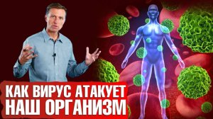 Вирусы атакуют.👽 Как вирусы поражают нашу иммунную систему.