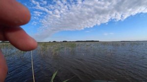 Озеро Кривое. Ловля  карася.Рыбалка в Северном Казахстане.