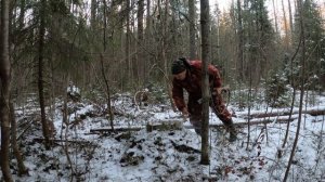 На зайца с гончей/Рассказ Авка/Первая пороша