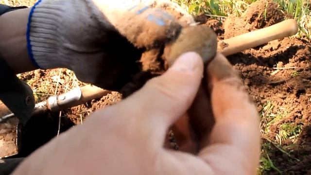 МЕГА УДАЧНЫЙ КОП! Петровкий КРЕСТОВИК, СЕРЕБРО, ПЕРСТЕНЬ. Смотреть до конца! смотреть онлайн