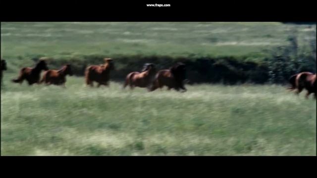 Флика. смотреть онлайн