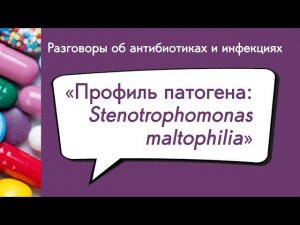 Вебинар «Профиль патогена: Stenotrophomonas maltophilia»