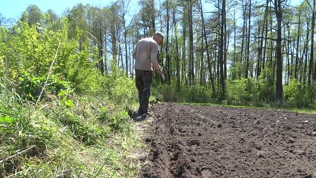 Сажу арахис и кошу траву. смотреть онлайн