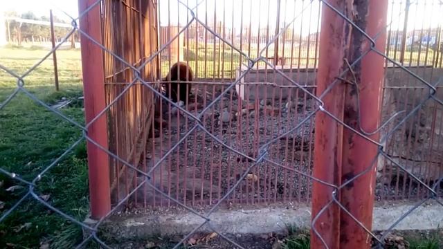 санаторий "Лаба" термальный источник посещаем с Варей и мини зоопарк смотреть онлайн