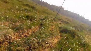 Мотоцикл Скаут 3 проезжаем по болоту