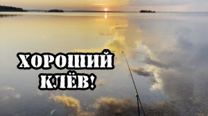 Рыбалка на фидер. На этот монтаж клюет всегда!