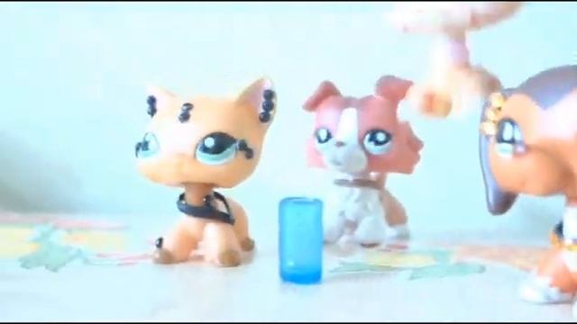 ♛ Aska chan /57 видео /загадка Данетка♛ смотреть онлайн