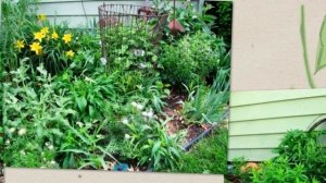 Идеи для сада, просто и со вкусом