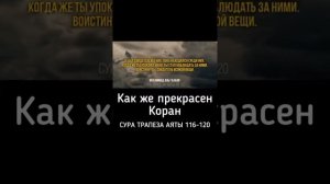 Мухаммад Аль Газали