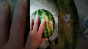 ШОК!!!😱РАЗРЕЗАЛИ АРБУЗ В ФЕВРАЛЕ🍉❄️ЧТО ВНУТРИ❓МОЖНО ЛИ ЕГО ЕСТЬ❓