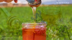 Люцерновый мёд