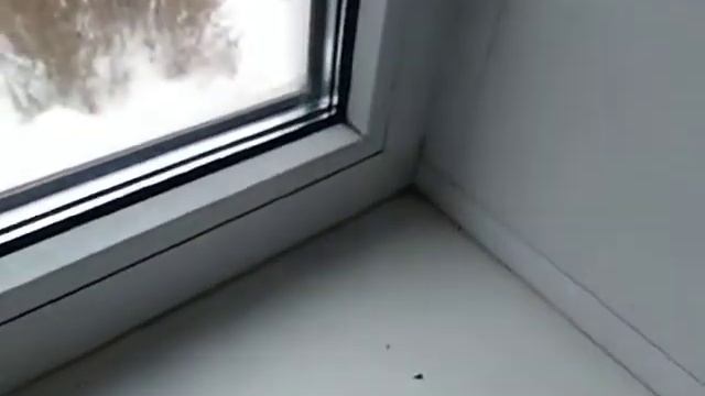 Салфетка для стекла AQUAmagic Ujut Гринвей. Чистое окно. смотреть онлайн