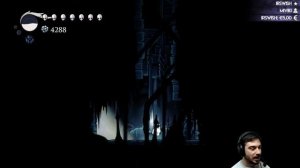 Hollow Knight : BOSQUET D'ISMA