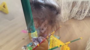 Распаковка Мольберт Ника Кидз растущий. Видео для детей.