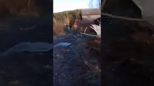 Медведь на даче, Пригород Красноярска