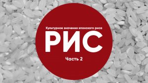 РИС | Часть 3 | Разновидности риса | Рецепт суши и роллов