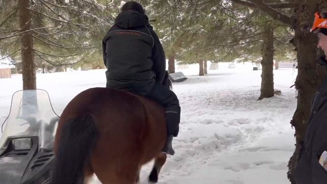 ВОДЛОЗЕРО / ТАКОЙ РЫБАЛКИ НЕ ОЖИДАЛ НИКТО / МОНАХ О.МАРТИРИЙ смотреть онлайн