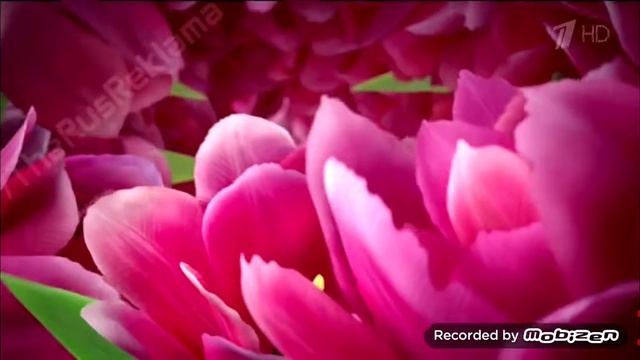 коркунов конфеты шоколад весна 2015 реклама смотреть онлайн