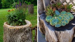 30 вариантов  Как превратить трухлявый  пень в украшение сада
