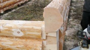 Окоренное бревно, угол 'в лапу' ласточкин хвост