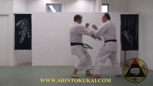 Okinawa Shorin-ryu Karate: Parent Style of Shotokan (clip 1)