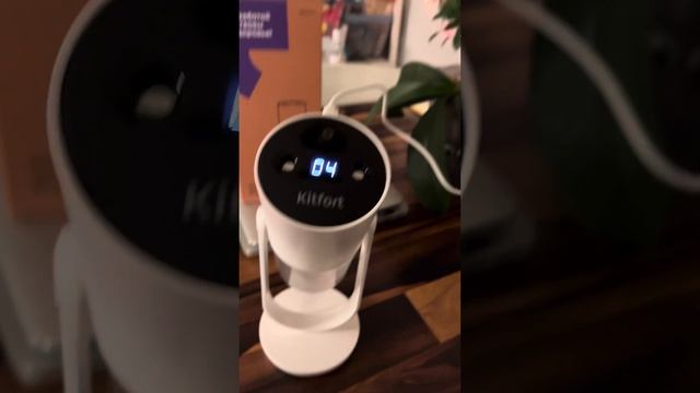 23 октября 2023 г. смотреть онлайн