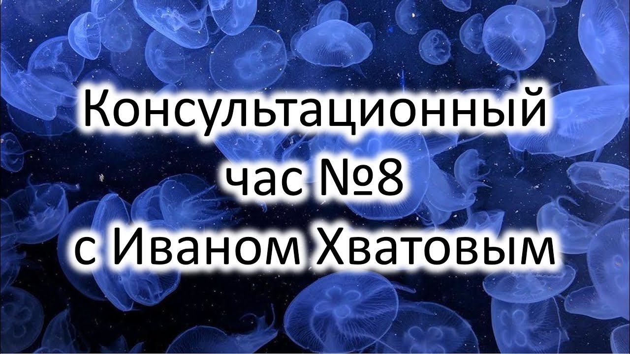 Консультационный час 8 (8 декабря 2022)