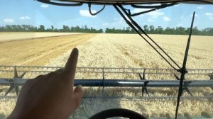 Уборка пшеницы? в самом разгаре комбайном  Джон Дир S 670i