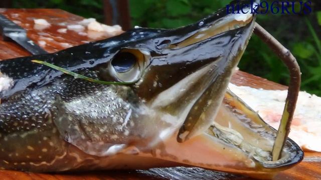 Шашлык из щуки. смотреть онлайн