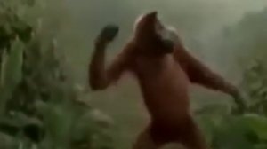 Тансуещэя абизяна