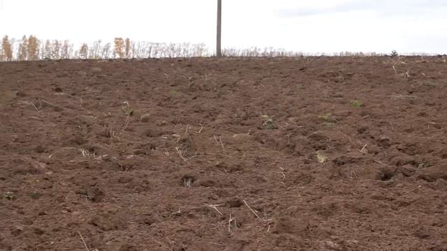 Вспашка зяби КФХ Шуматбаева Ф А смотреть онлайн