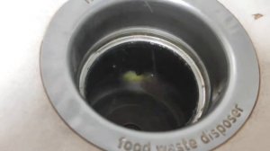 Можно ли измельчать банан в бюджетном диспоузере?