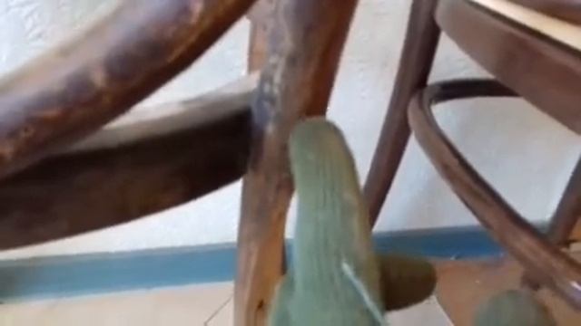 Стул Тонет реставрация.
