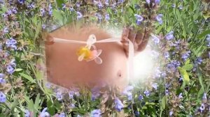 Шалфей народные рецепты. Лечим шалфеем женские и мужские заболевания, простуду, ЖКТ